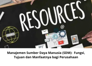 Manajemen Sumber Daya Manusia (SDM): Fungsi, Tujuan dan Manfaatnya bagi Perusahaan