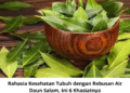 Rahasia Kesehatan Tubuh dengan Rebusan Air Daun Salam, Ini 6 Khasiatnya