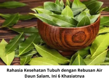 Rahasia Kesehatan Tubuh dengan Rebusan Air Daun Salam, Ini 6 Khasiatnya