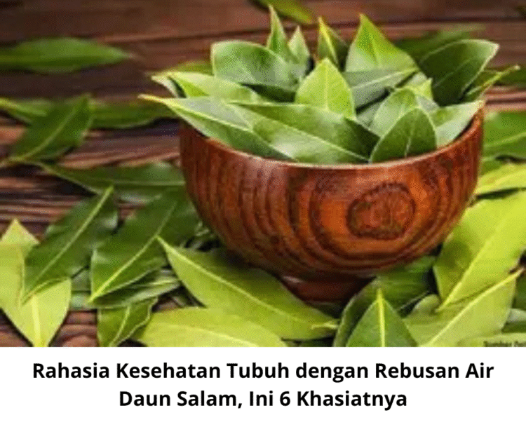 Rahasia Kesehatan Tubuh dengan Rebusan Air Daun Salam, Ini 6 Khasiatnya