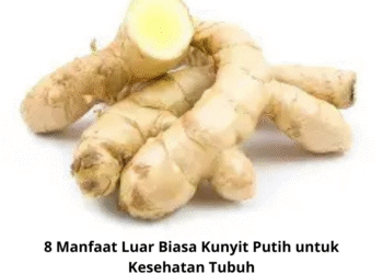 8 Manfaat Luar Biasa Kunyit Putih untuk Kesehatan Tubuh