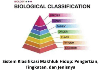 Sistem Klasifikasi Makhluk Hidup: Pengertian, Tingkatan, dan Jenisnya