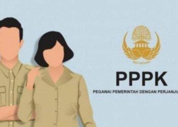 Pendaftaran PPPK Paruh Waktu Secara Online, Berikut Cara Dan Langkah-Langkahnya!