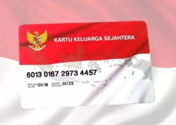 Program Kartu Keluarga Sejahtera, Begini Cara Ceknya Lewat HP