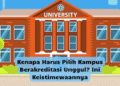 Kenapa Harus Pilih Kampus Berakreditasi Unggul? Ini Keistimewaannya