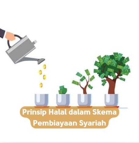 Prinsip Halal dalam Skema Pembiayaan Syariah