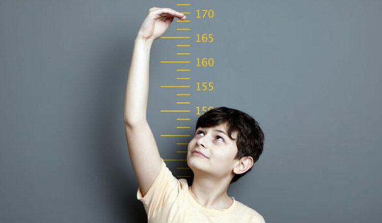 Tinggi Badan : 7 Makanan Untuk Yang Ingin Bertubuh Tinggi