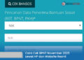 Cara Cek BPNT November 2025 Lewat HP dan Website Resmi