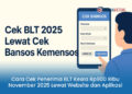 Cara Cek Penerima BLT Kesra Rp900 Ribu November 2025 Lewat Website dan Aplikasi Resmi Kemensos