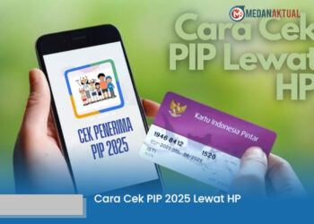 Cara Cek PIP 2025 Lewat HP dengan Mudah
