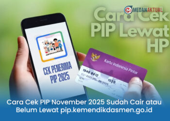 Cara Cek PIP November 2025 Sudah Cair atau Belum Lewat pip.kemendikdasmen.go.id
