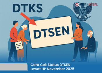 Cara Cek Status DTSEN Lewat HP November 2025