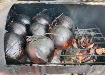 Kelapa Bakar: Manfaat Konsumsi Kelapa Bakar, Mitos atau Fakta?