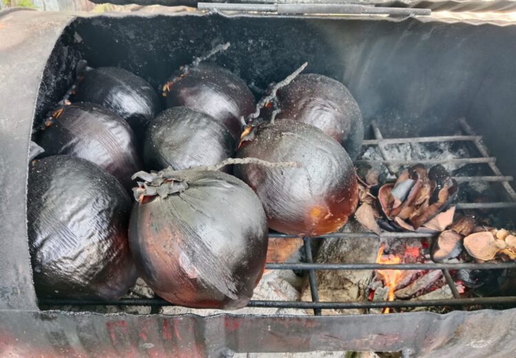 Kelapa Bakar: Manfaat Konsumsi Kelapa Bakar, Mitos atau Fakta?