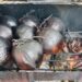 Kelapa Bakar: Manfaat Konsumsi Kelapa Bakar, Mitos atau Fakta?