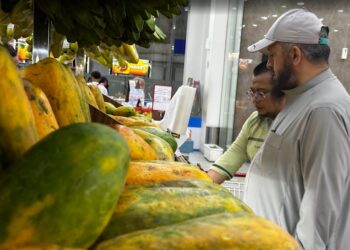 Pepaya Untuk Mencegah Kanker