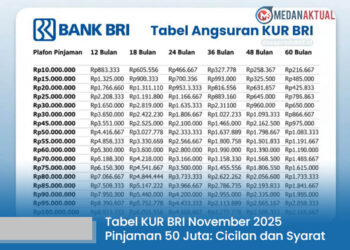 Tabel KUR BRI November 2025 Pinjaman 50 Juta: Cicilan dan Syarat