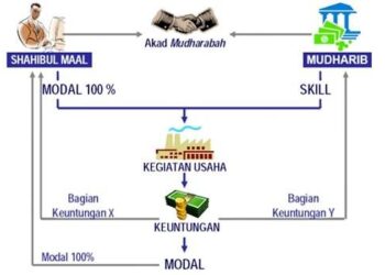 Pembiayaan Mudharabah dan Murabahah: Kunci Keuangan Halal Tanpa Riba