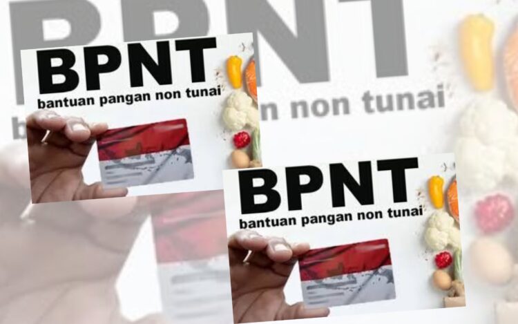 Cek Penerima BPNT Kartu Sembako Online di cekbansos.kemensos.go.id