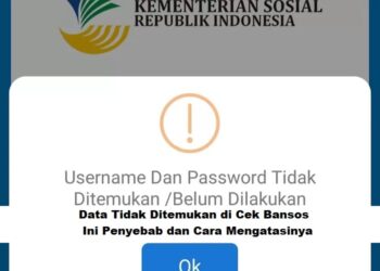 Data Tidak Ditemukan Di Cek Bansos? Ini Cara Mengatasinya