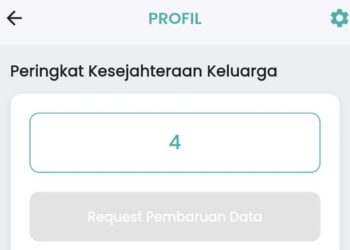 Desil 2025: Begini Cara Cepat Mengeceknya Lewat Google