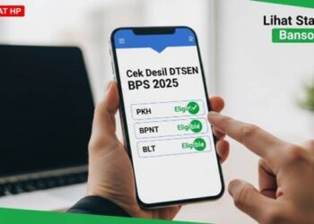Desil DTSEN BPS: Ini Cara Mudah Untuk Mengeceknya