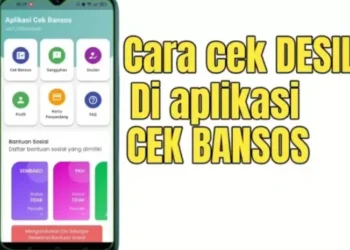Desil DTSEN: Begini Cara Mudah Mengeceknya Lewat Aplikasi