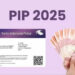 PIP Akhir Tahun 2025 Akan Cair, Begini Cara Mengecek Dananya
