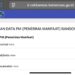 Program BPNT, Ini Cara Ceknya Lewat Website Resmi Kemensos