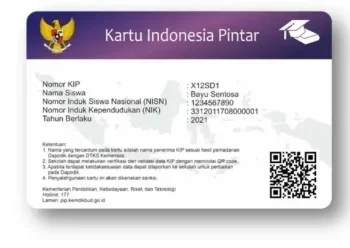 Program PIP 2025, Berikut Rinciannya Dan Cara Ceknya