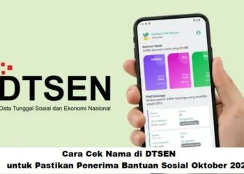 Mau Tahu Status NIK DTSEN Kamu? Simak Cara Berikut Ini!