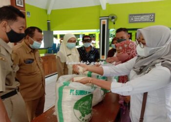 Program Bantuan Sosial (Bansos) : Cara Daftar PKH Dan BPNT