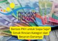 Bansos PKH untuk Siapa Saja Simak Rincian Kategori dan Besaran Dananya