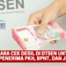 Cara Cek Desil di DTSEN Untuk Penerima PKH, BPNT, dan JKN