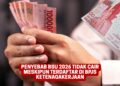 Penyebab BSU 2026 Tidak Cair Meskipun Terdaftar di BPJS Ketenagakerjaan