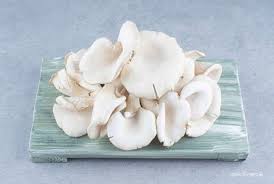 Jamur dan Manfaatnya bagi Kesehatan Tubuh Berikut Informasinya